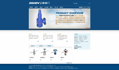 品牌形象VI設計與閥門網(wǎng)站網(wǎng)頁設計 專業(yè)與創(chuàng)新的融合